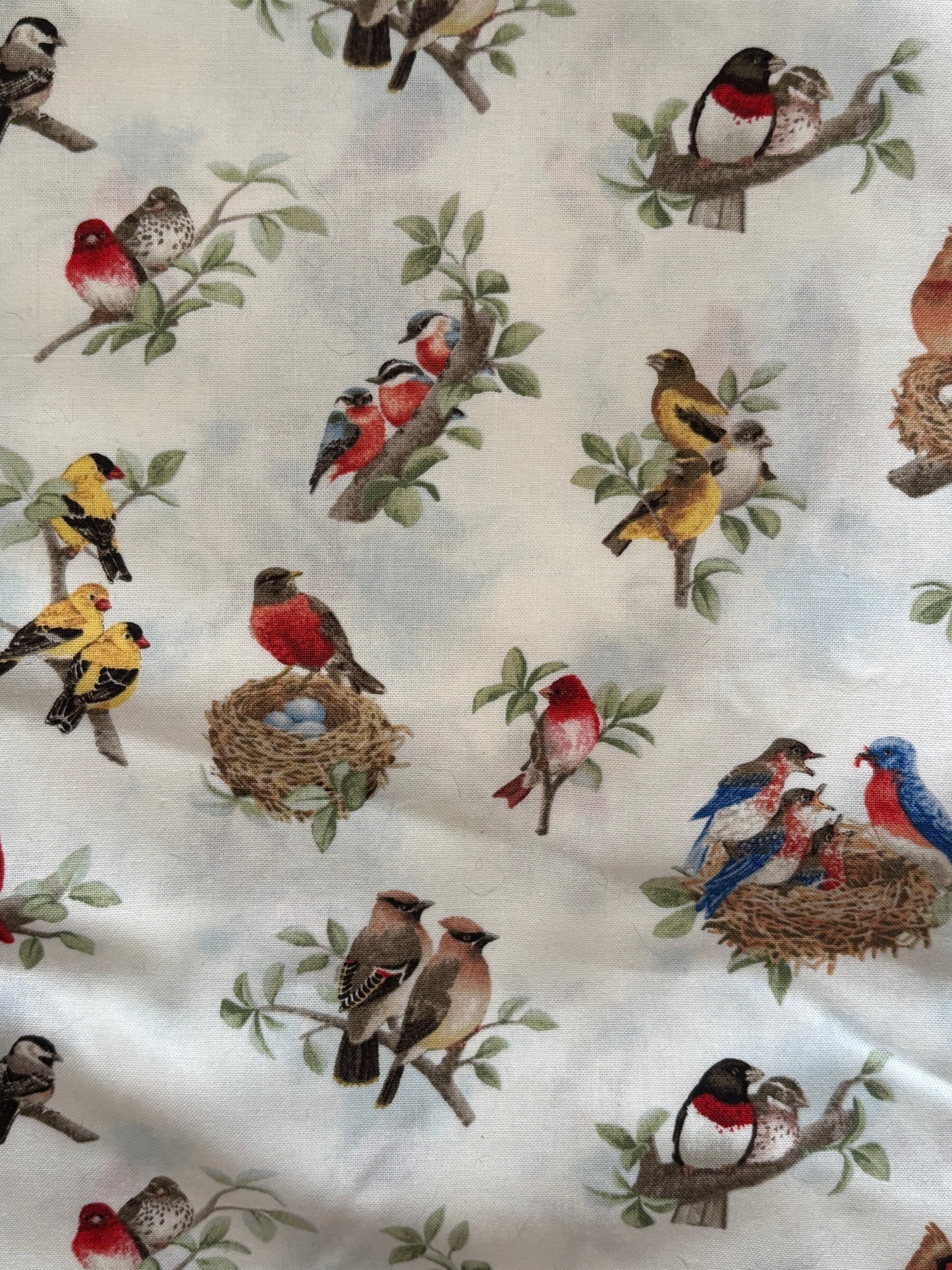 Tracy Lizotte or Elizabeth's Studio, Birds, 100% Cotton Fabric, Sold By Yard