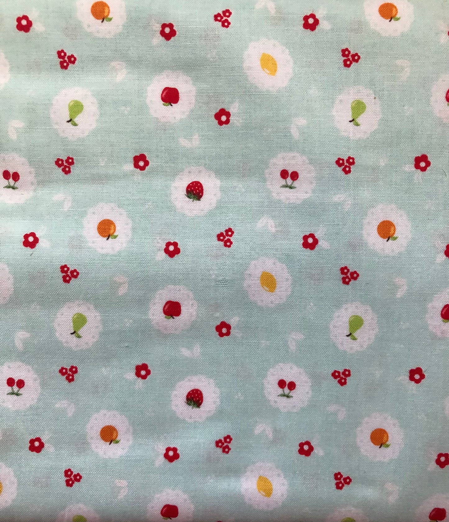 Riley Blake "Sweet Orchard" by Sedef Imer, Fruit on Aqua Fabric, Designer Cotton, Quilting Fabric, Sold By YARD