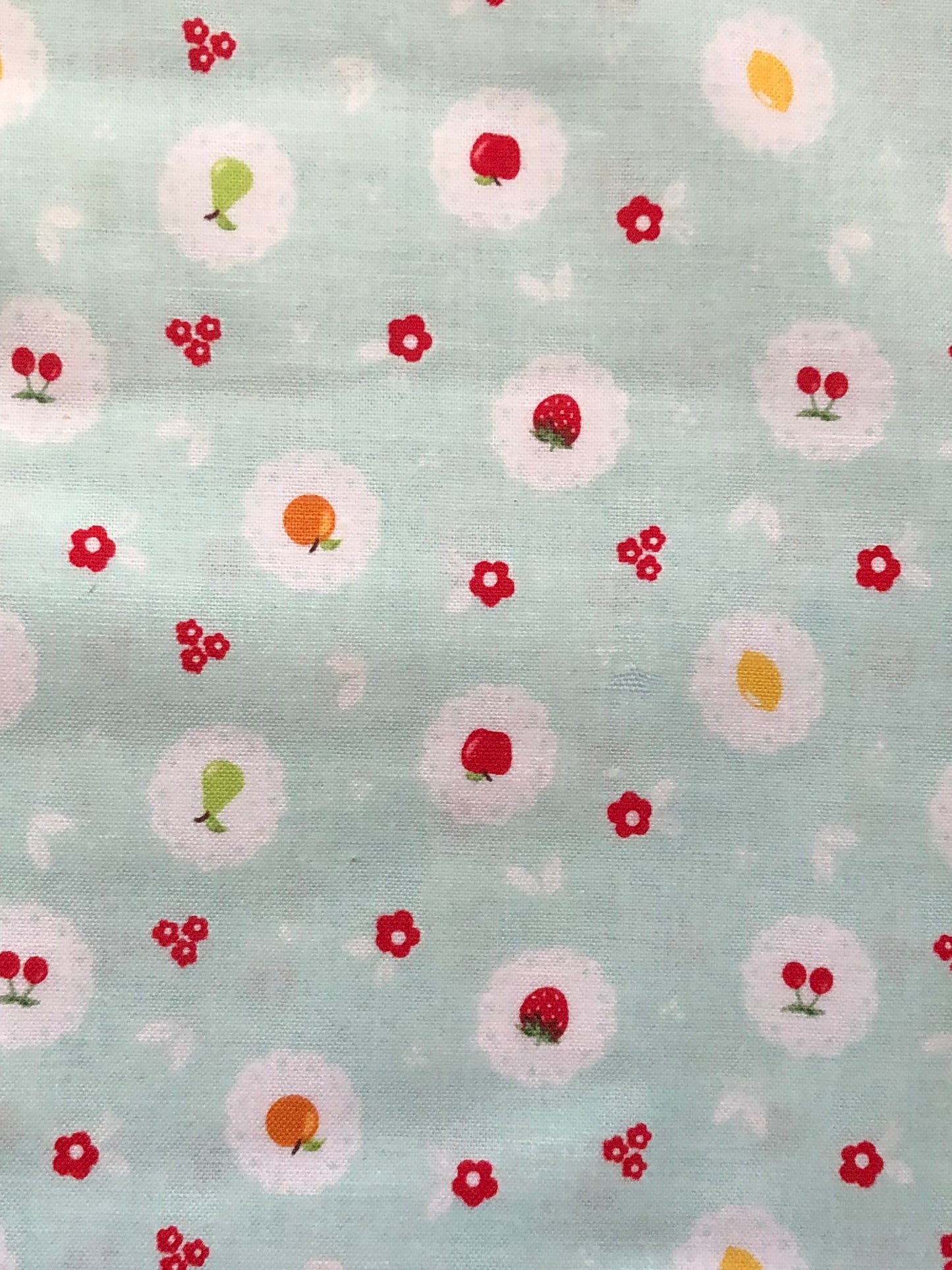 Riley Blake "Sweet Orchard" by Sedef Imer, Fruit on Aqua Fabric, Designer Cotton, Quilting Fabric, Sold By YARD