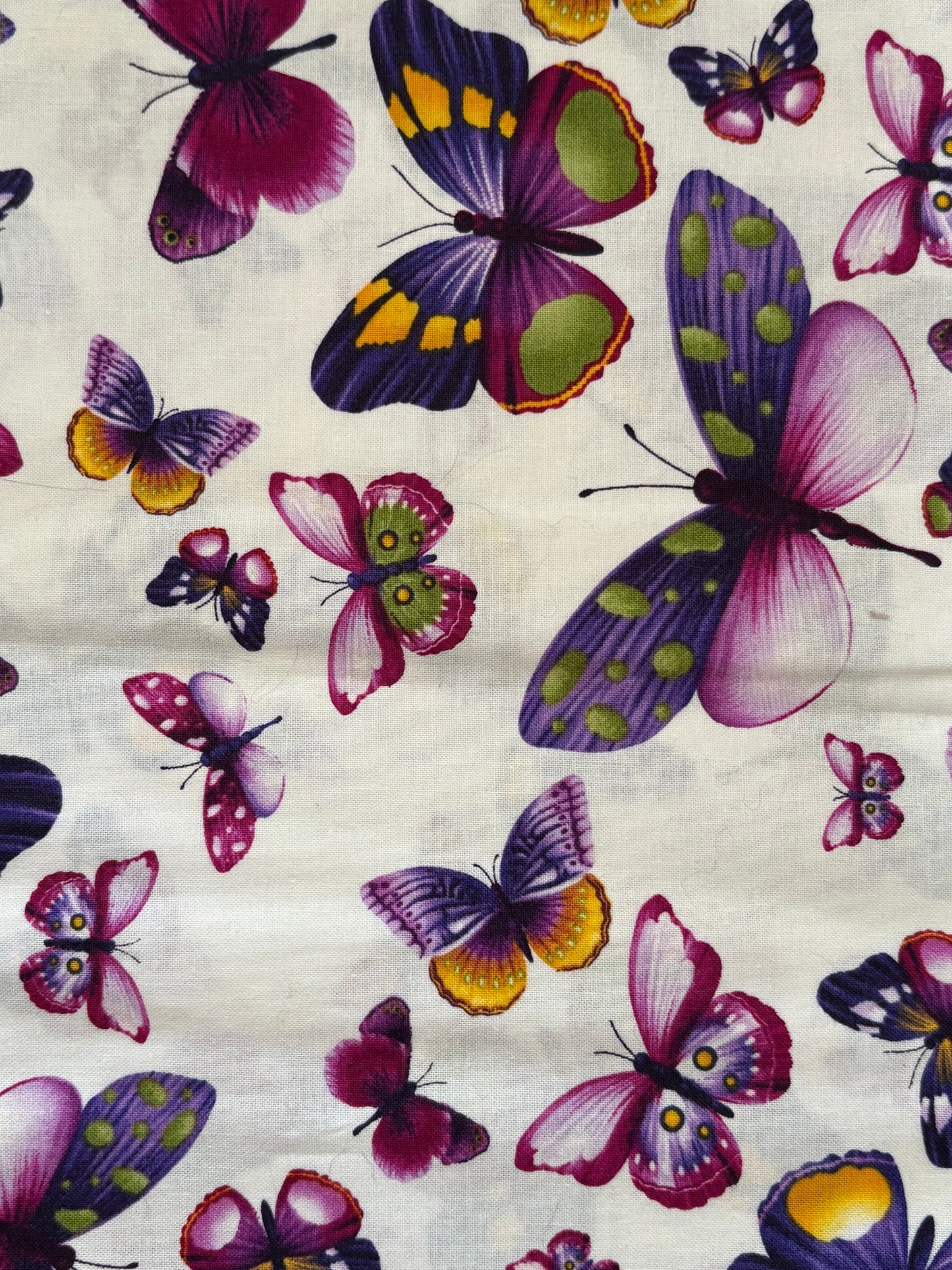 Timeless Treasures, Viola by Chong-A Hwang Butterflies on White, 100% Cotton Fabric, Sold By Yard