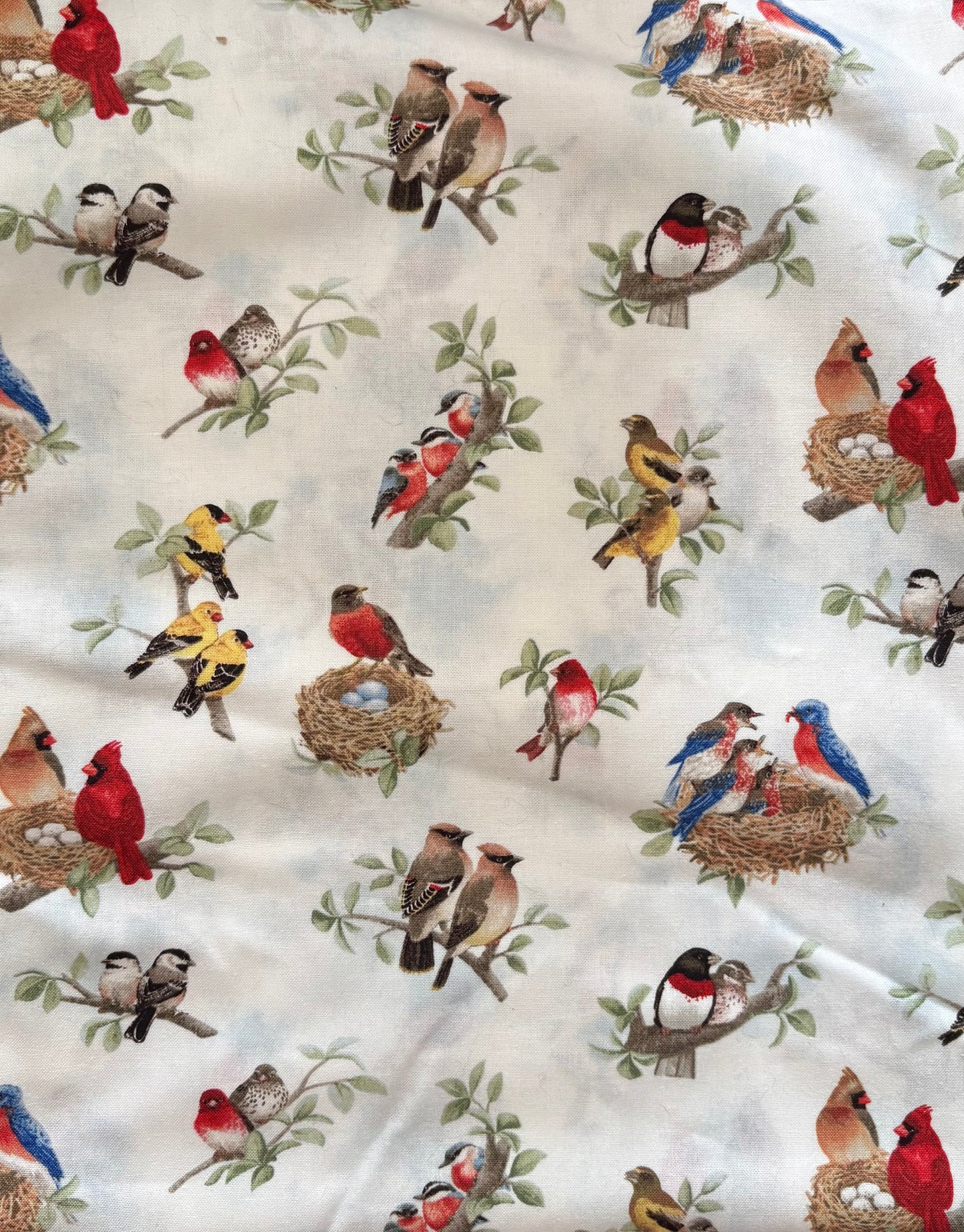 Tracy Lizotte or Elizabeth's Studio, Birds, 100% Cotton Fabric, Sold By Yard