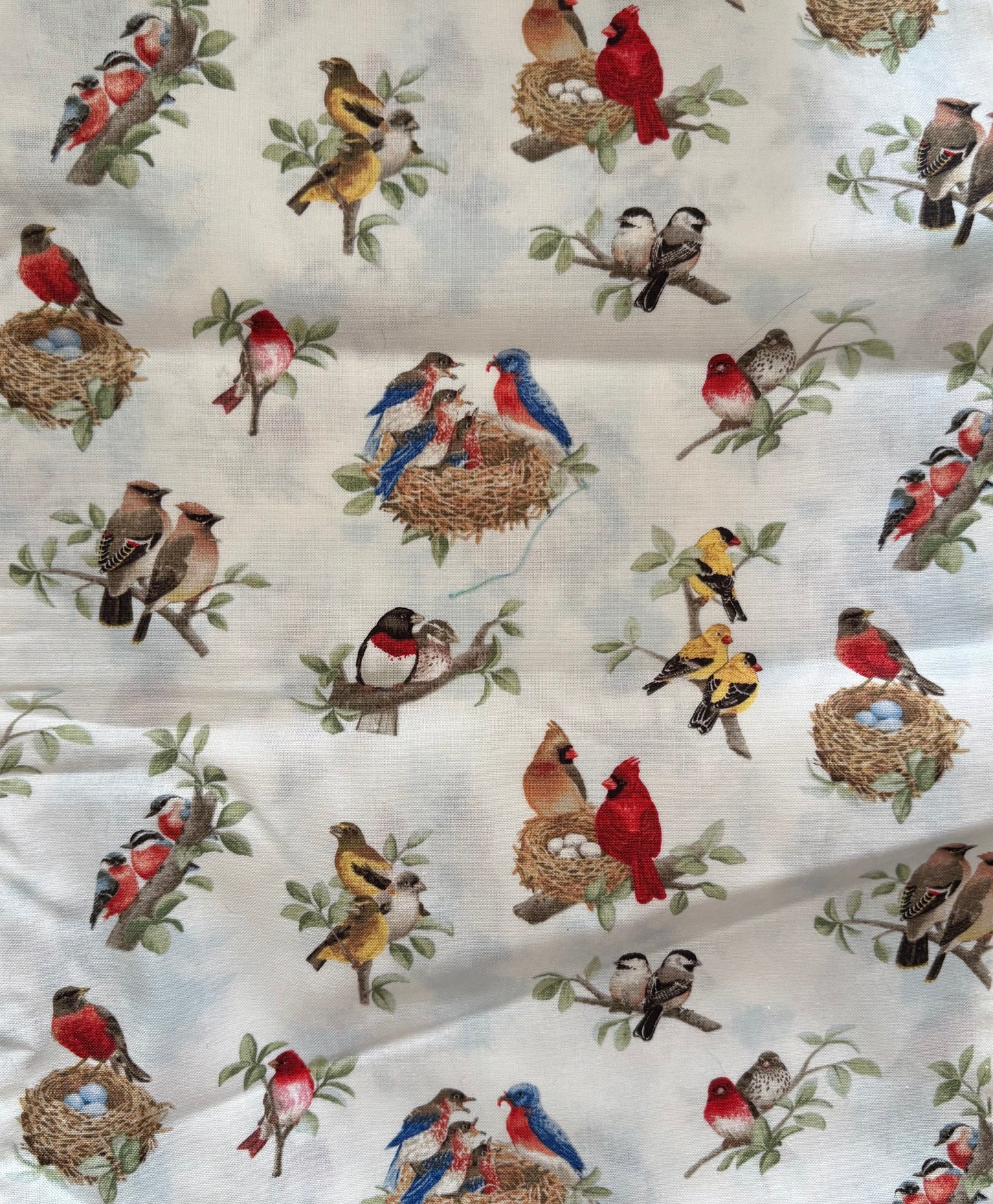 Tracy Lizotte or Elizabeth's Studio, Birds, 100% Cotton Fabric, Sold By Yard