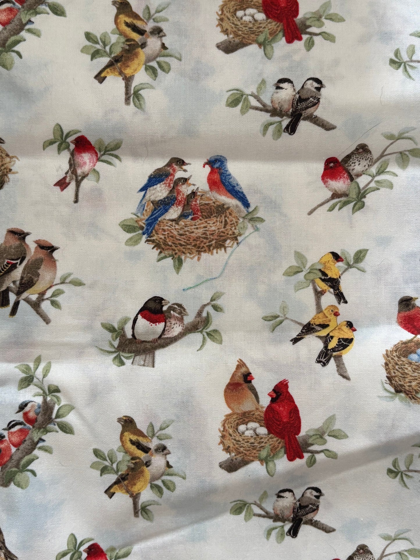 Tracy Lizotte or Elizabeth's Studio, Birds, 100% Cotton Fabric, Sold By Yard