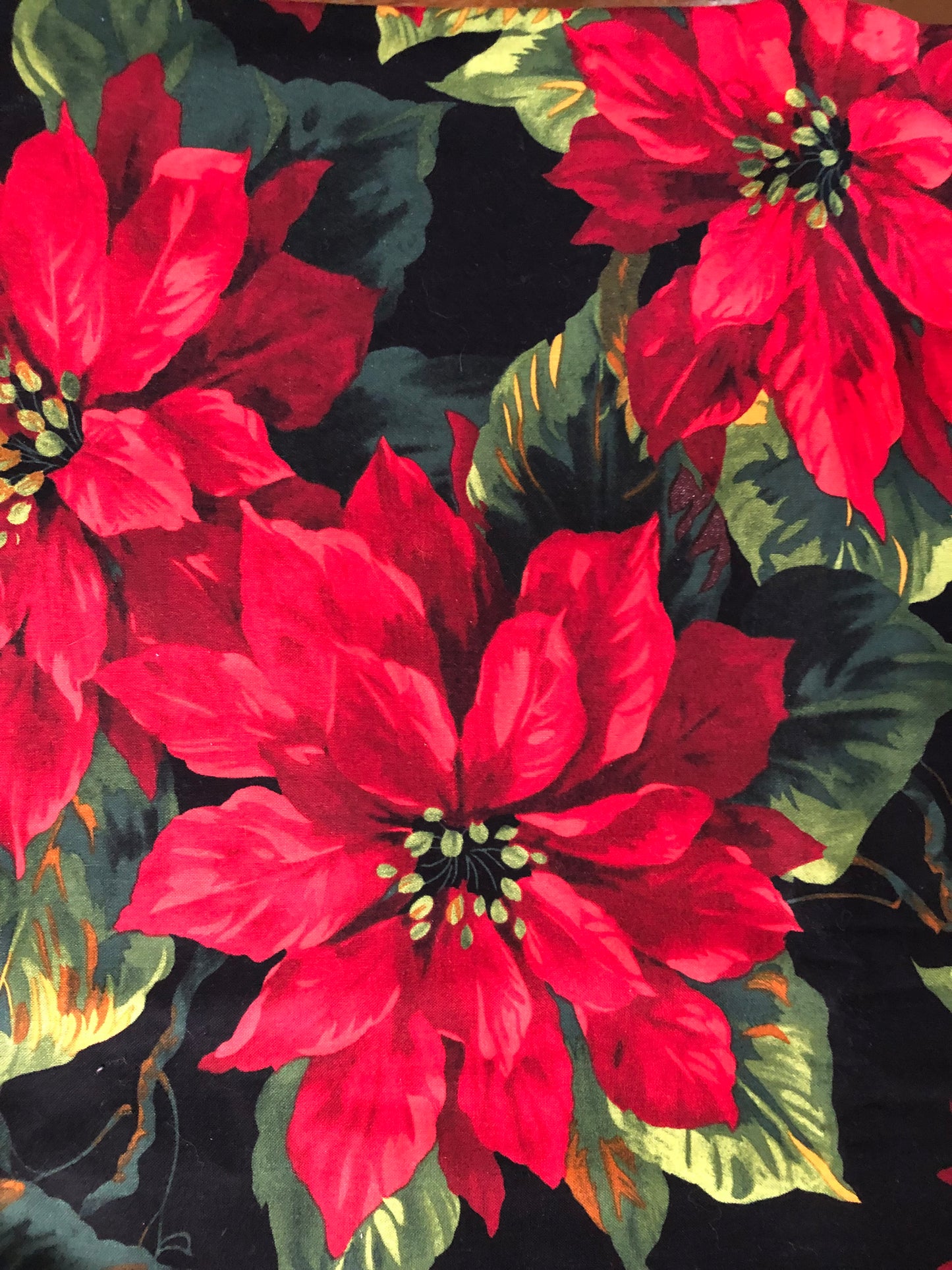 Michael Miller Scarlet Poinsettia on Black, Designer Cotton, Quilting Fabric, Sold by YARD