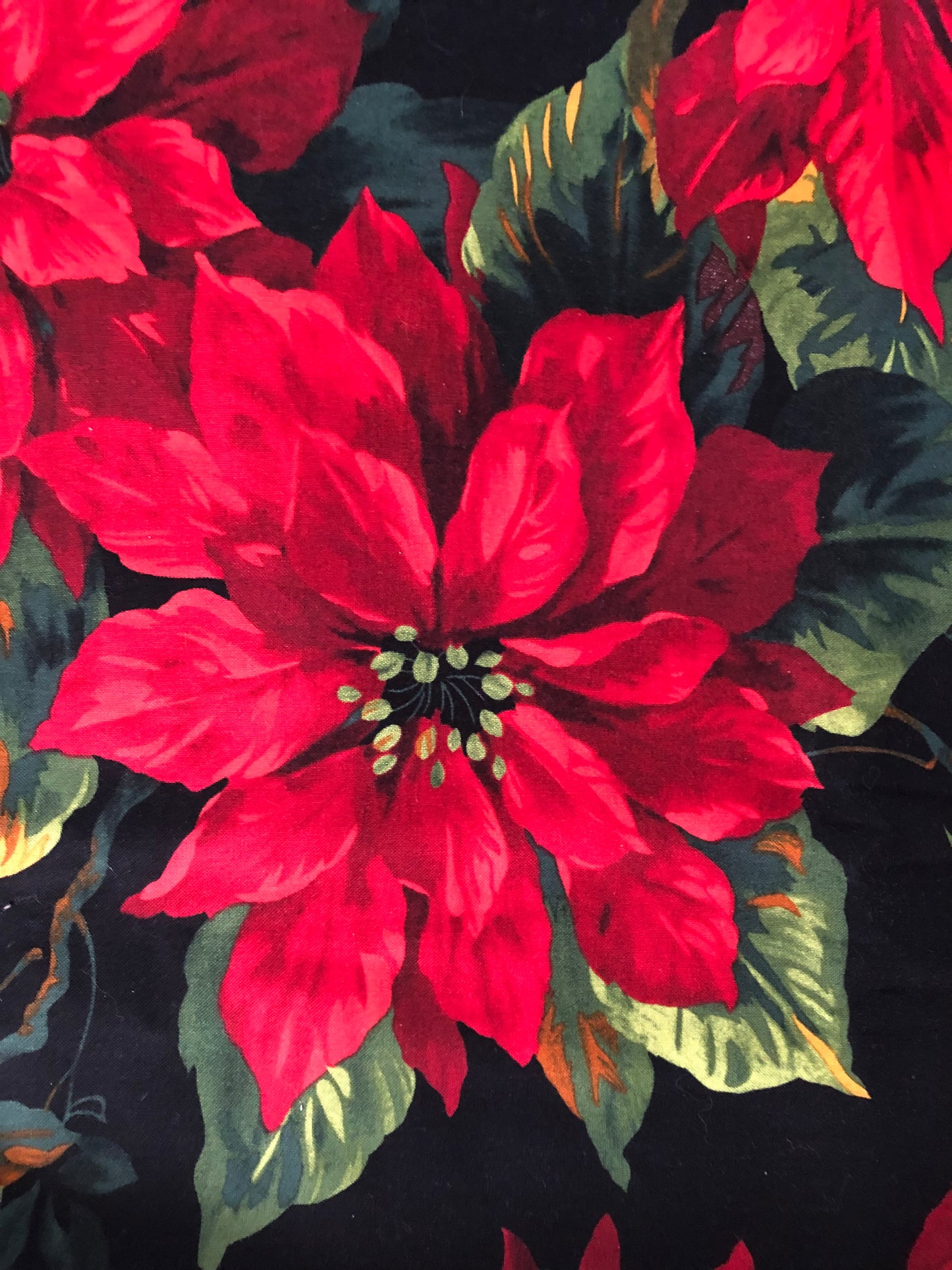 Michael Miller Scarlet Poinsettia on Black, Designer Cotton, Quilting Fabric, Sold by YARD