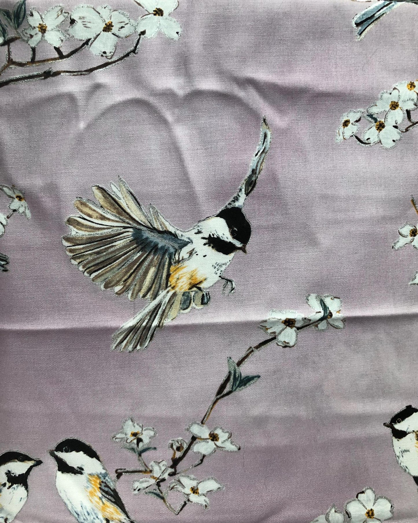 Hoffman Fabrics A Little Birdie Told Me, Designer Cotton, Quilting Fabric, Sold by YARD